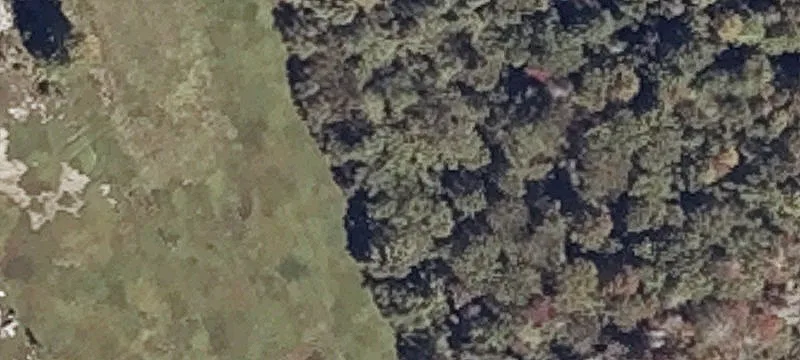 95 Old Airline Rd