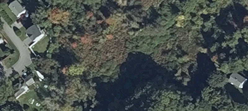8 Lucille Ave