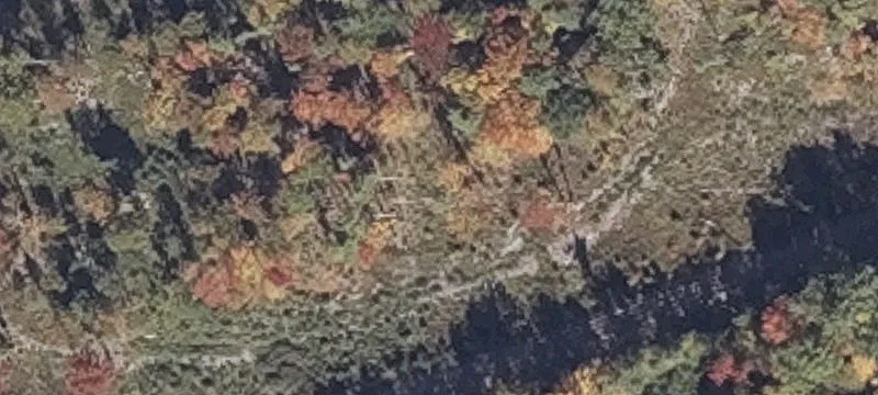 Bragdon Rd