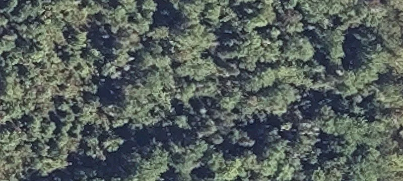 Buttermilk Rd