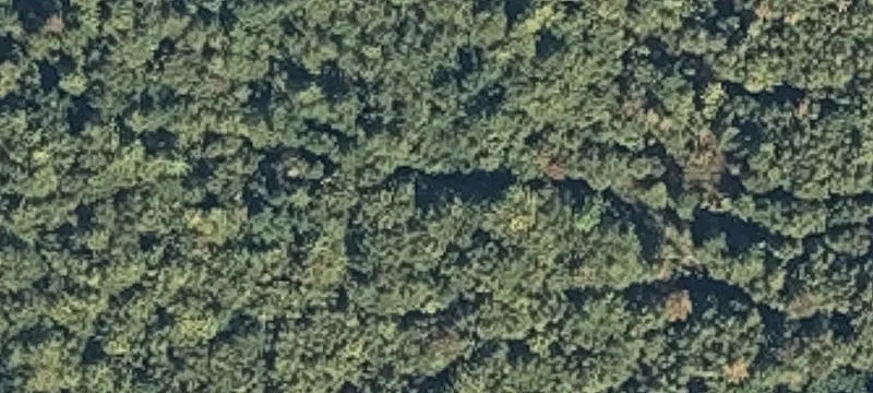 Prospect, ME 04981