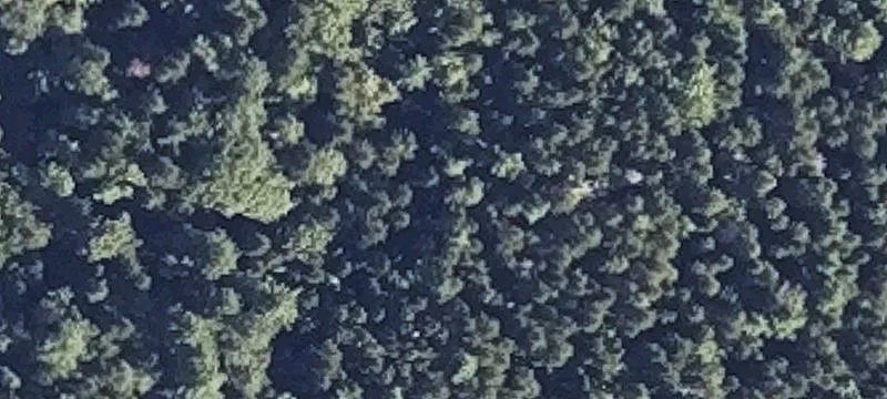 Blue Hill, ME 04614