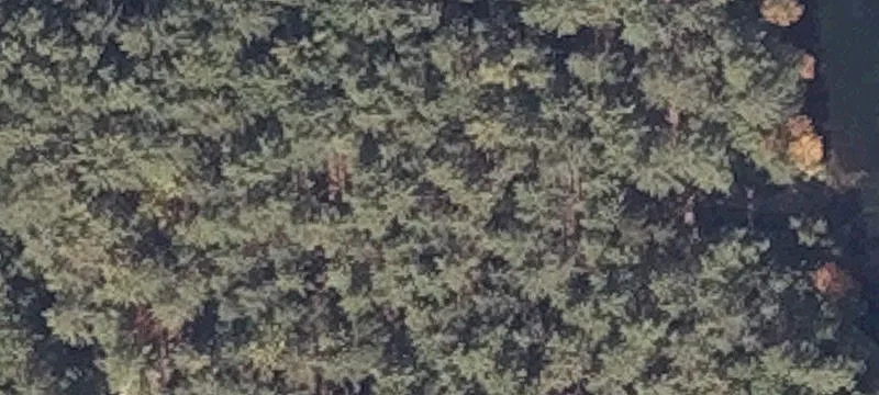 154 Old County Rd