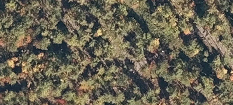 Denmark Rd