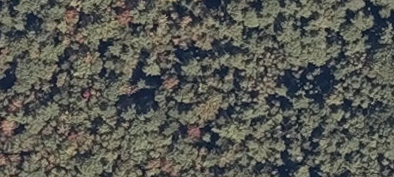 Edgecomb, ME 04556