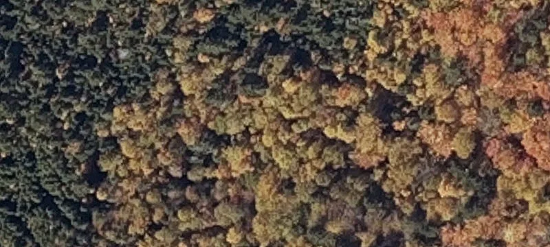 Rangeley, ME 04970