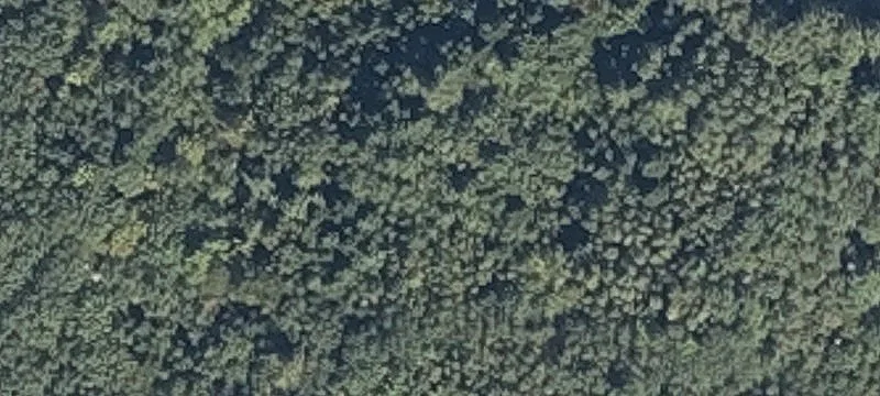 Muskrat Farm Rd