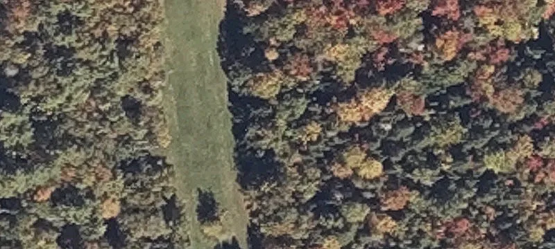 Bishop Rd