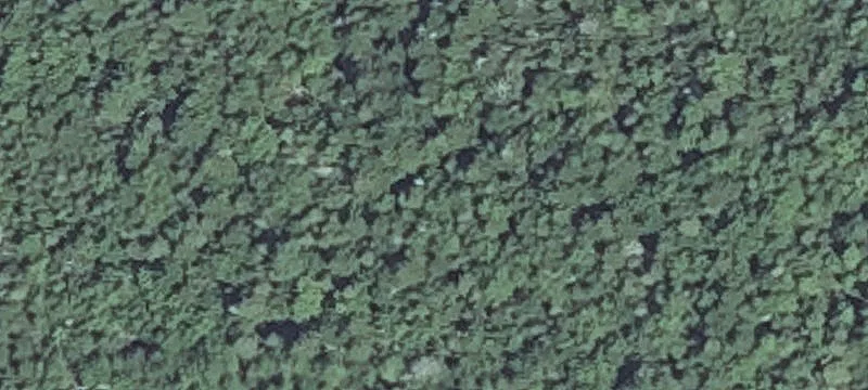 Machias, ME 04654