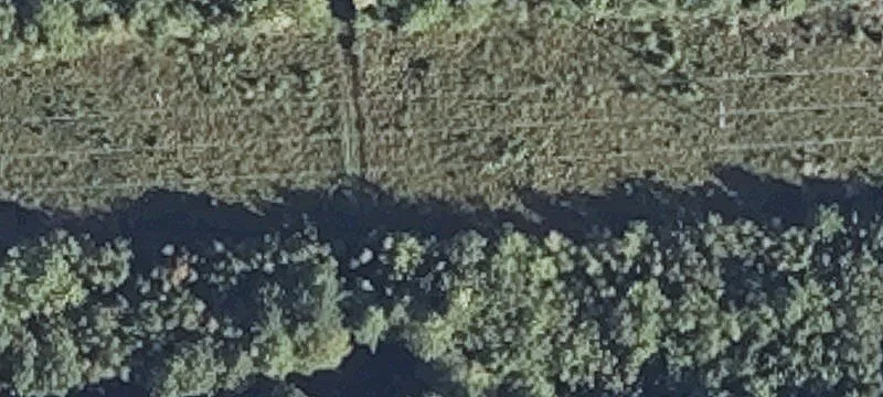 Government Rd