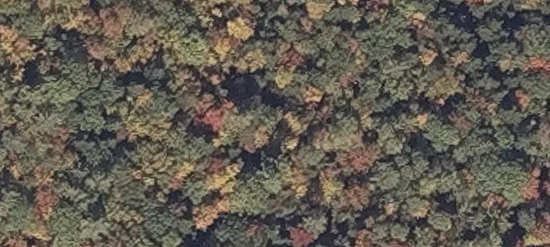Upton Brothers Rd