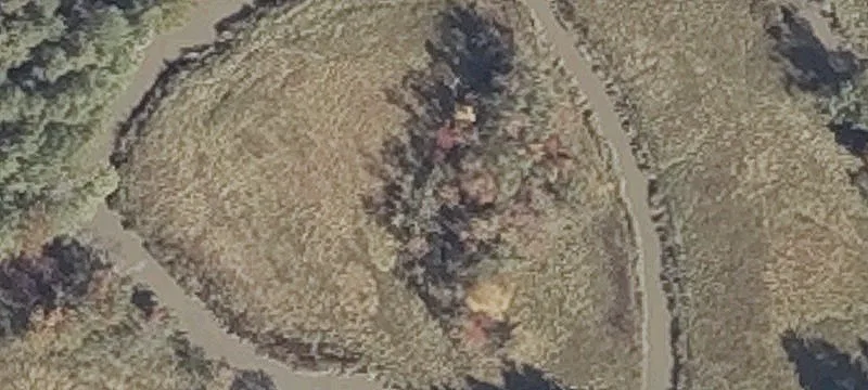Us Rte 1st 1