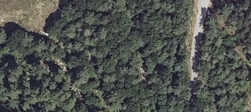 Plns Rd