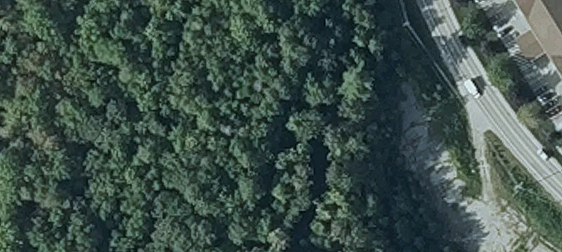 Whitten Rd