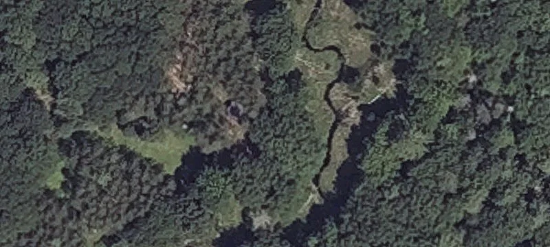Guinea Rd