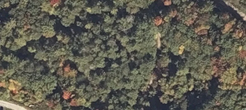 Trlr Park Park