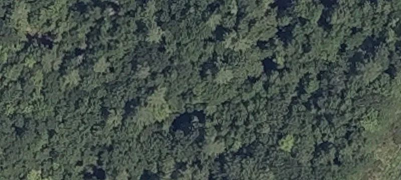 Fairgrounds Rd