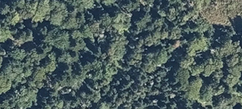 Nn Shr Rd