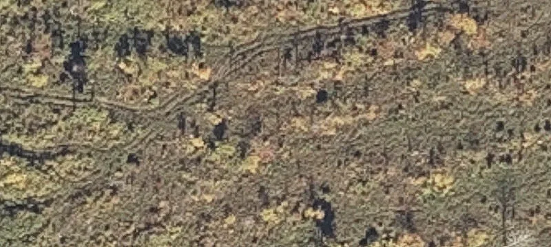 Sullivan Rd