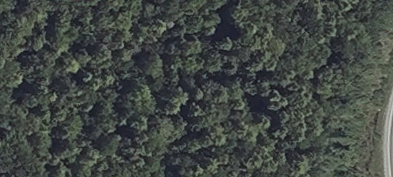 Holmes Rd