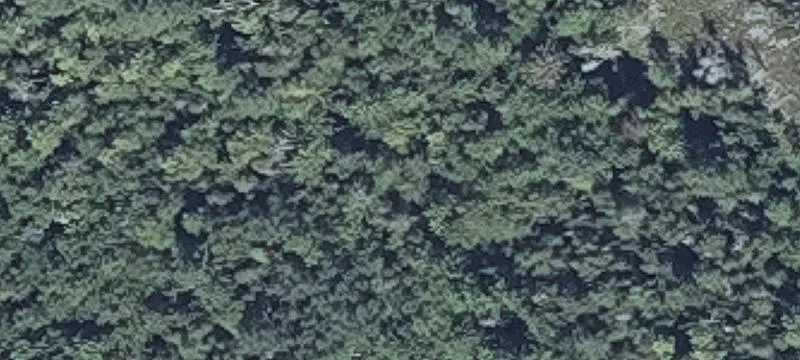 Staples Rd