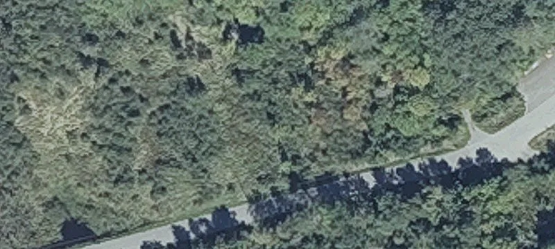 Staples Rd