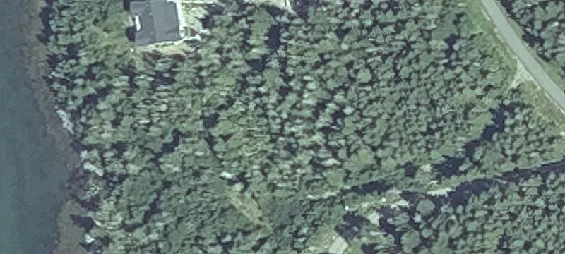 Yoho Head Rd