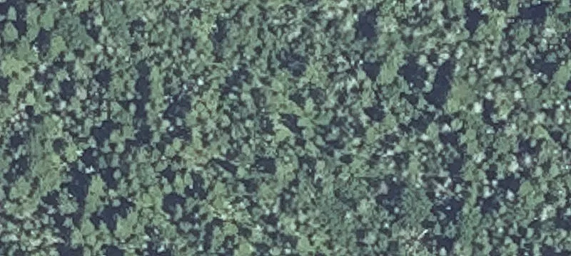 Ocean Rd