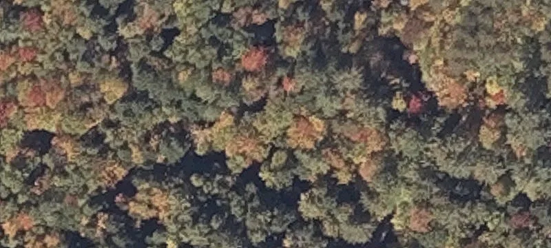 193 Patch Mtn Rd