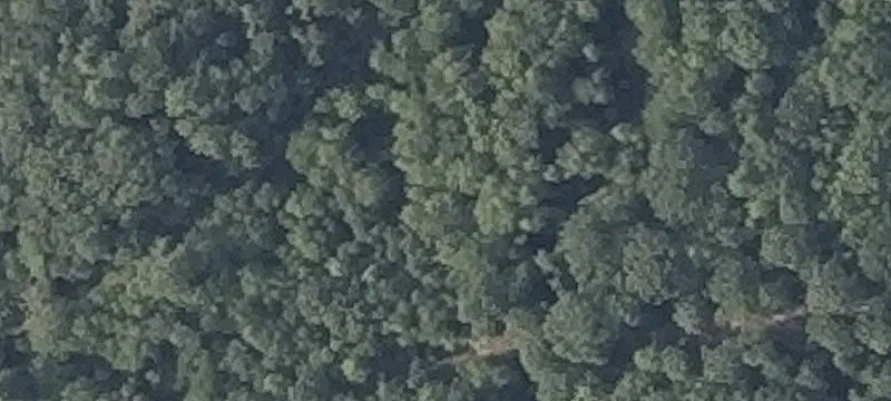 Dana Ml Rd