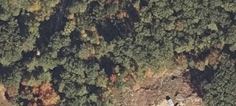Strickland Ln