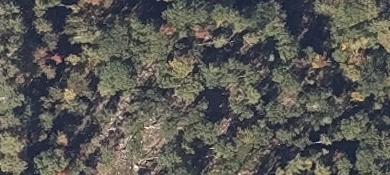 Mtn Rd