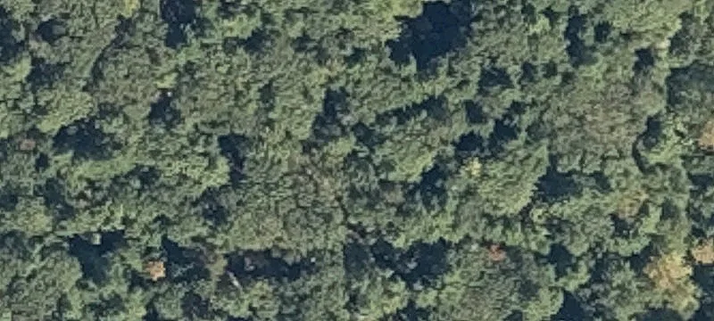 Big Log Cabin Rd