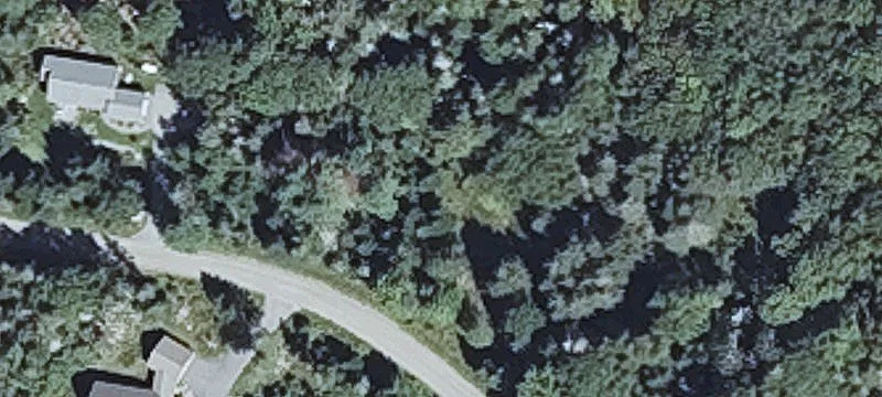 Old Woods Rd