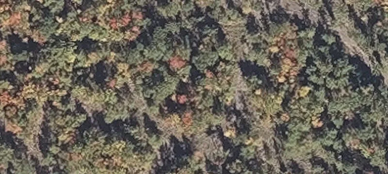 Kennebunk Rd