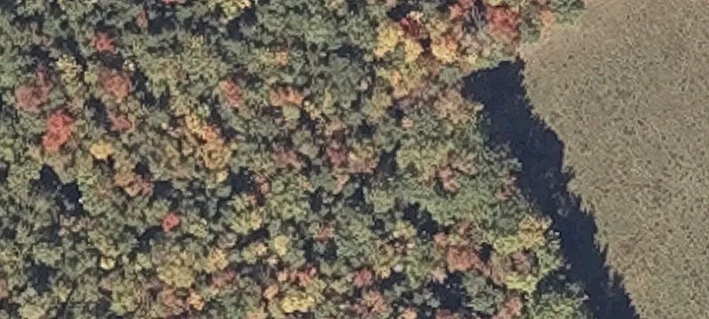 Naples Rd