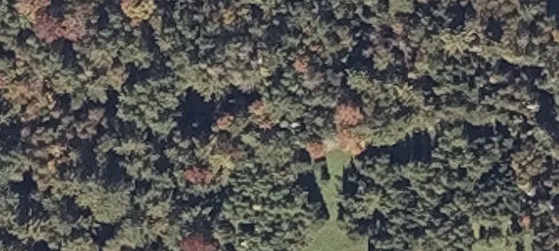 Barker Rd