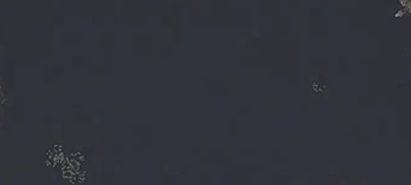 Silver Lk Is