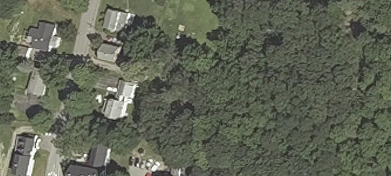 Nicholson Ave