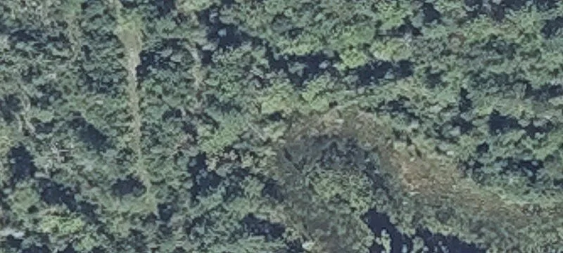 Staples Rd