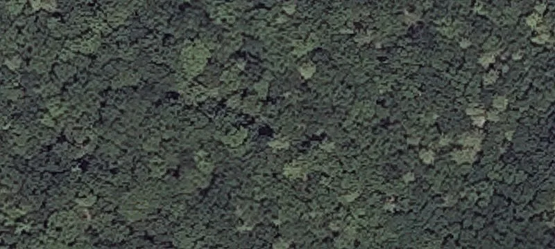 Guinea Rd