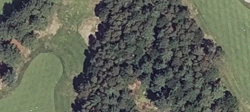 Old Orch Rd