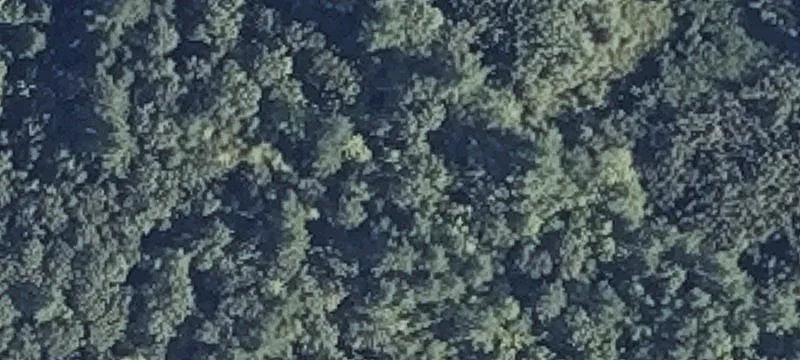 Augusta Rd