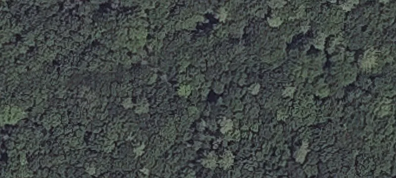 86 Guinea Rd