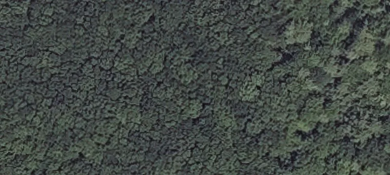 Goose Rocks Rd