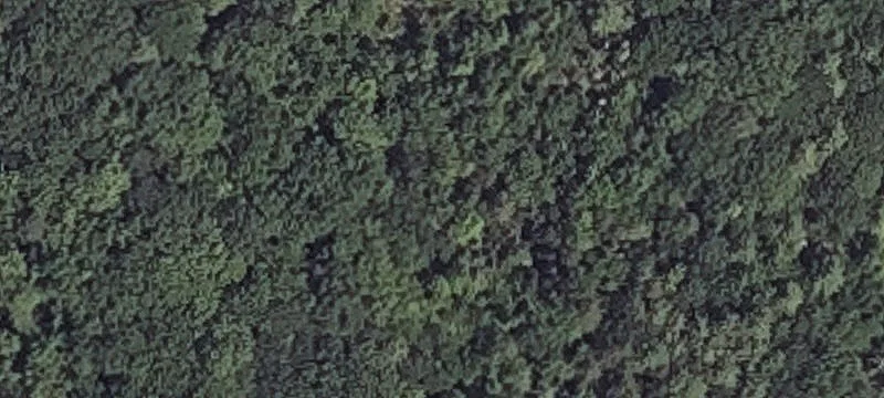 Whitten Hl Rd
