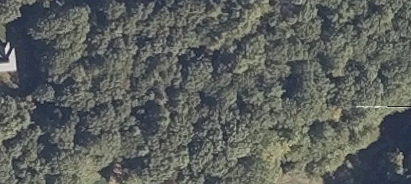 Sherwood Dr