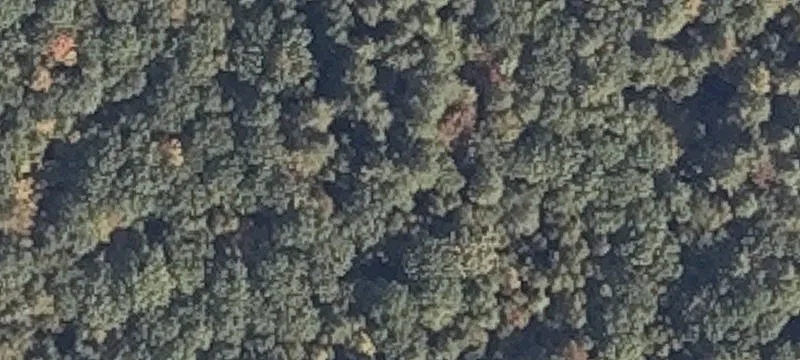 Sherwood Dr