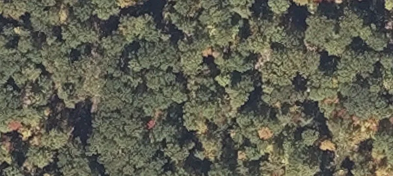 Eddie Kahkonen Rd