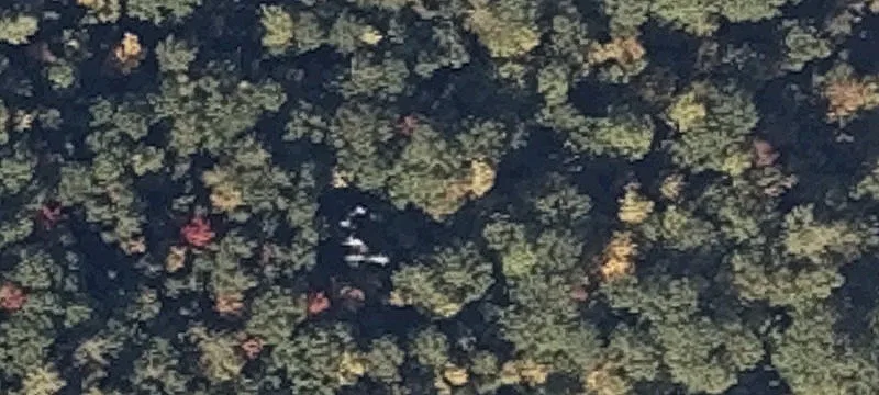 Mtn Rd